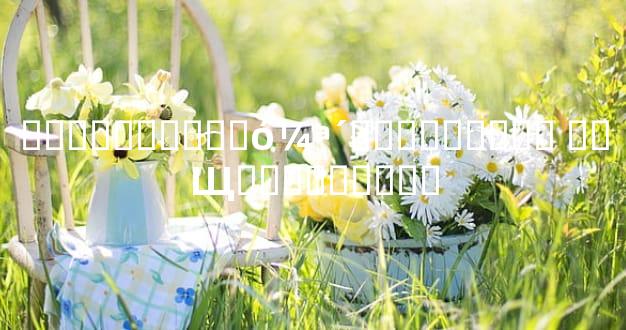 ���ָ������󼪴��������� ��Щ���ร�����